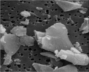Microscopic Silica